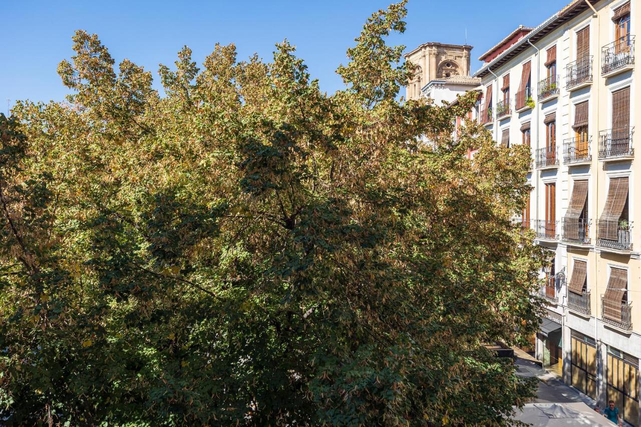 Dreaming Bib Rambla - Free Parking Apartment Granada Exterior foto
